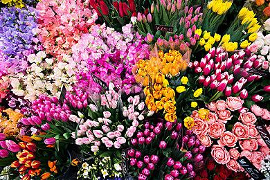 《卡普空对战格斗合集》今日发售 Steam国区售价243元